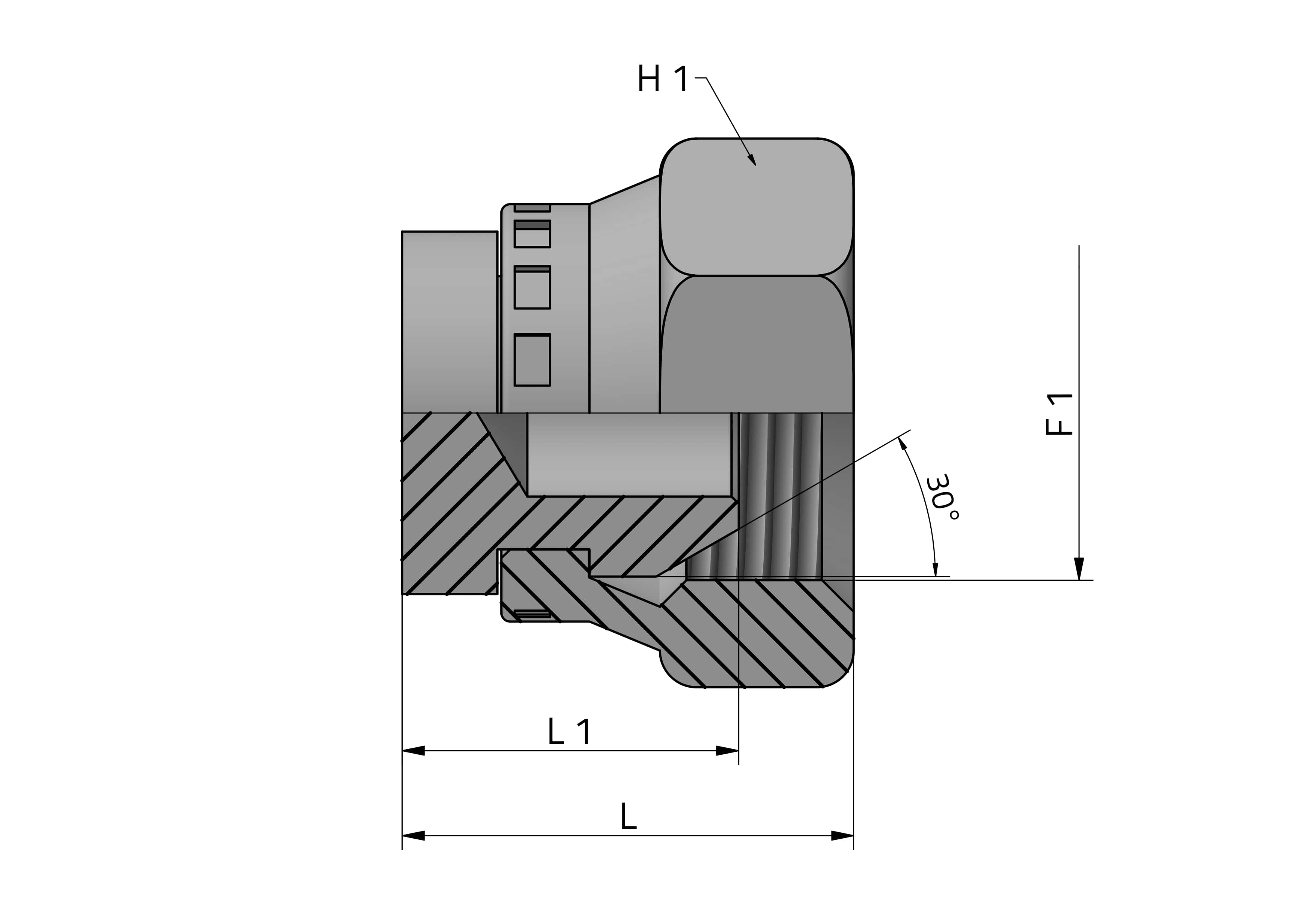 SWIVEL FEMALE PLUG BSPP